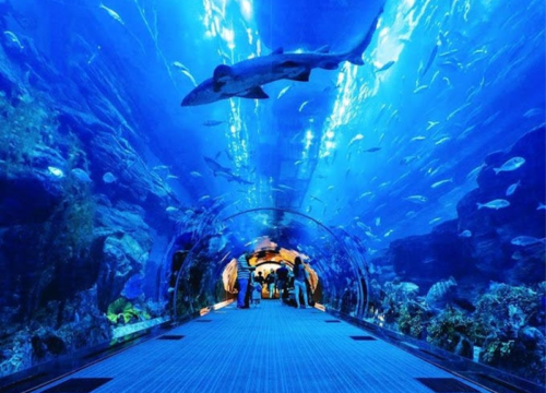 Aquarium, Dubai 